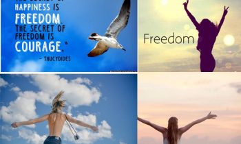 17.- La libertad evolutiva