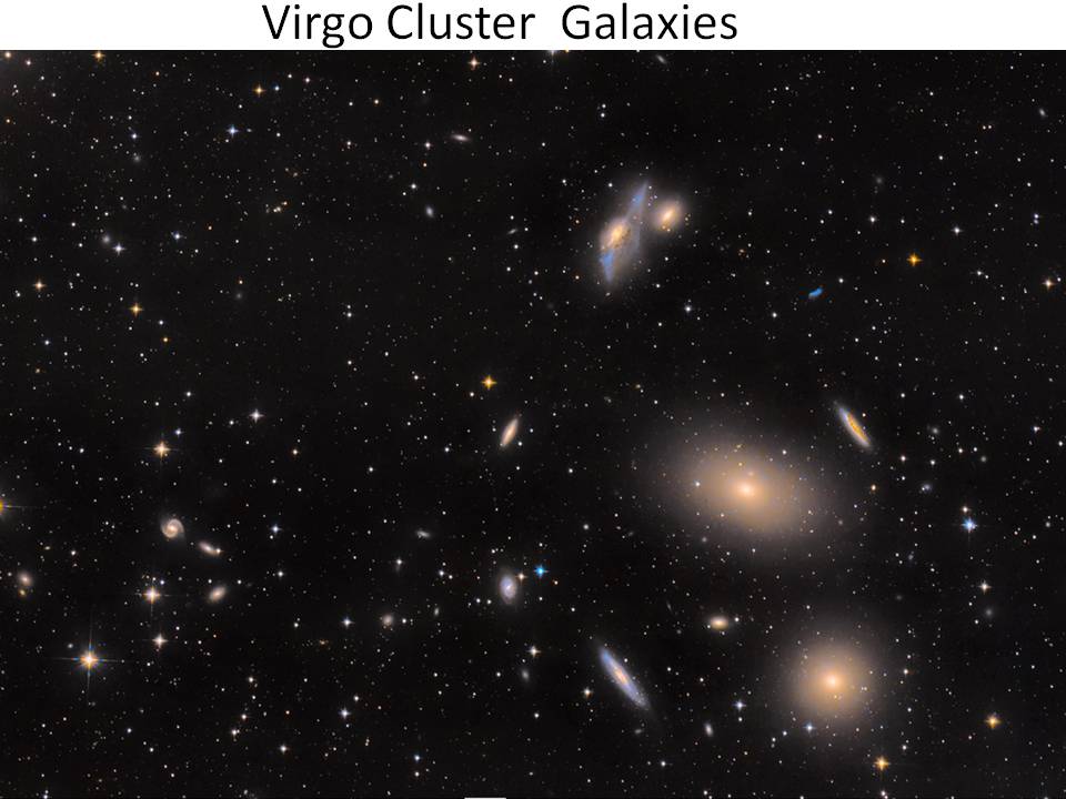 Virgo Cluster Galaxies